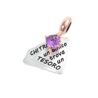 Charm Rerum Donna AMICIZIA in Argento Ametista 25018M - 25018M